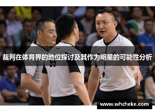 裁判在体育界的地位探讨及其作为明星的可能性分析