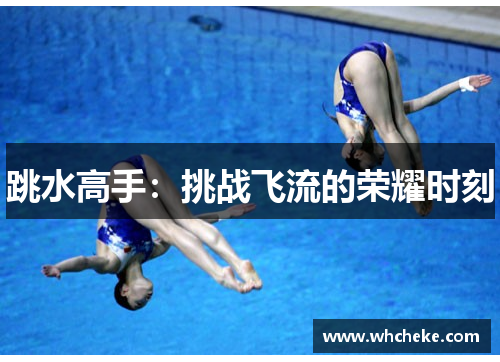 跳水高手：挑战飞流的荣耀时刻